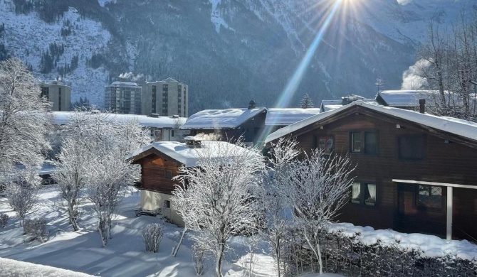 Apartament z widokiem na Mt Blanc