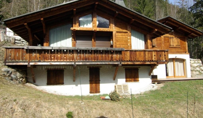 Splendid Apartment in Chamonix France near Ski Area