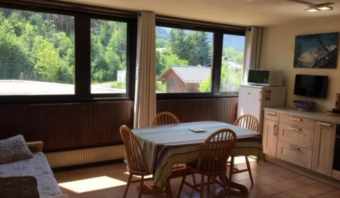 Studio Chamonix-Mont-Blanc, 1 pièce, 4 personnes - FR-1-507-20