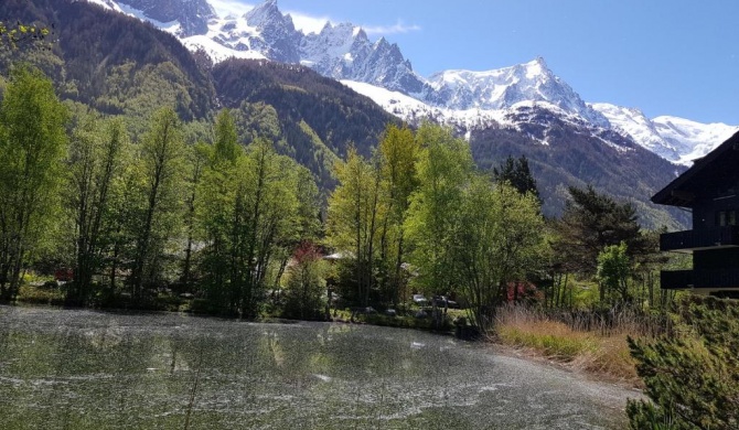 bel appartement , son jardin et le lac