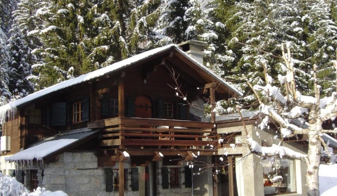 Chalet vue Mont-Blanc