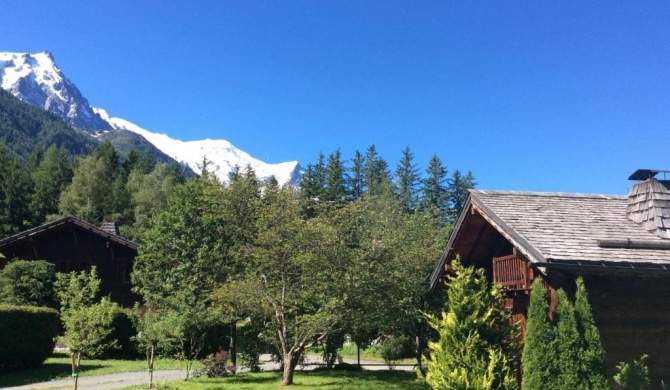 Quaint Chalet in Chamonix with Valley nearby