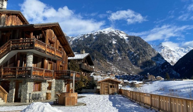 Chalet des Trappeurs Coeur Vanoise