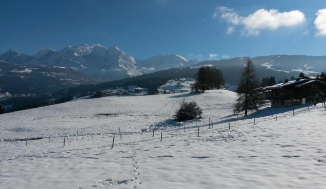 Rez de chaussée très calme vue Mont-Blanc