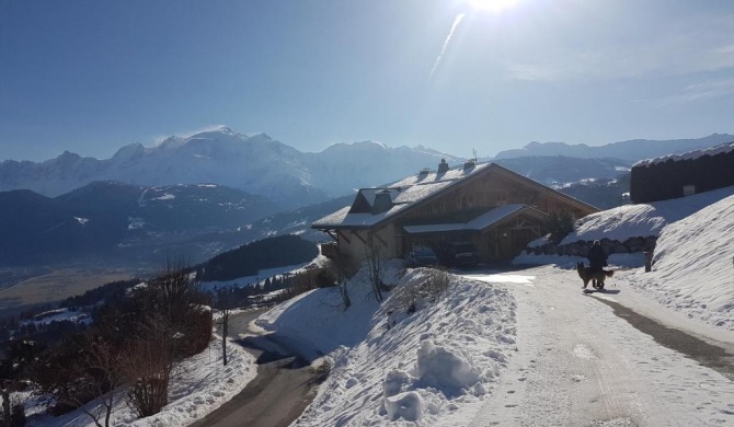 La Joubarbe au Balcon du Mont-Blanc