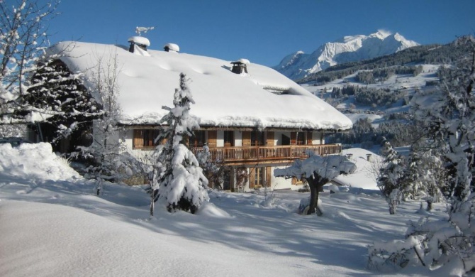 Chalet à Megève-Vauvray - Appartements tout confort, vue Mont Blanc