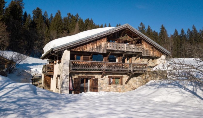 Chalet devant le bois