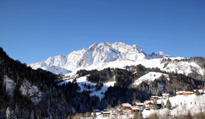 65m2 - balcon et vue sur les Aravis