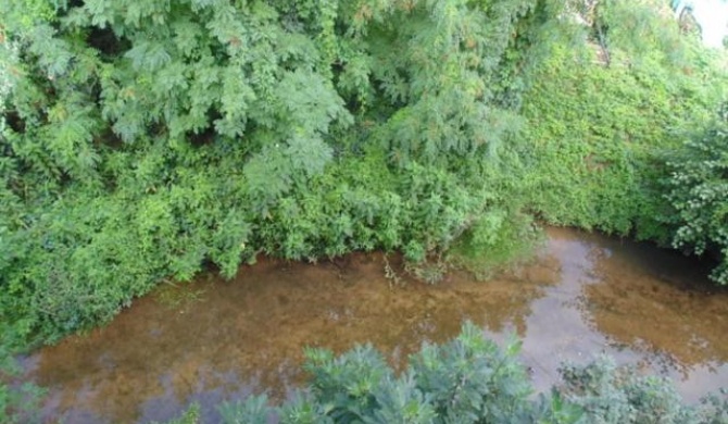 Le gite du moulin