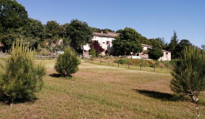 Gîtes La ferme accrochée à la colline