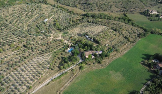 le vieux mas du domaine de Pontet-Fronzele