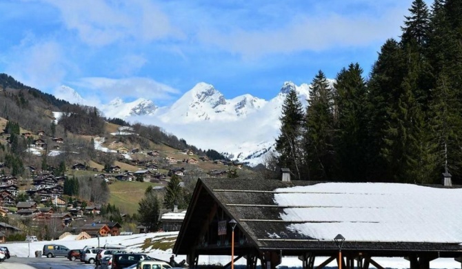 Appartement Le Grand-Bornand, 2 pièces, 4 personnes - FR-1-241-78