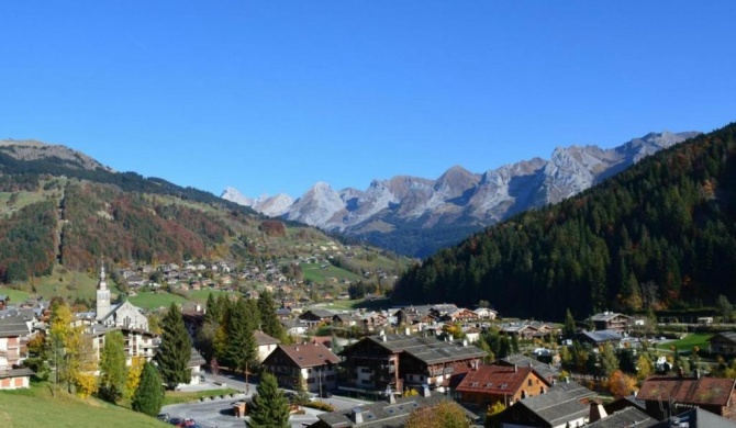 Appartement Le Grand-Bornand, 2 pièces, 5 personnes - FR-1-241-85