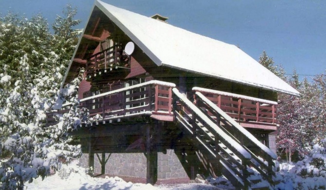 Chalet Mont-Dore, 4 pièces, 6 personnes - FR-1-415-53