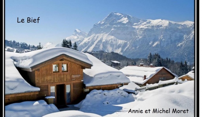 Demi-Chalet Le Bief --Prox pistes