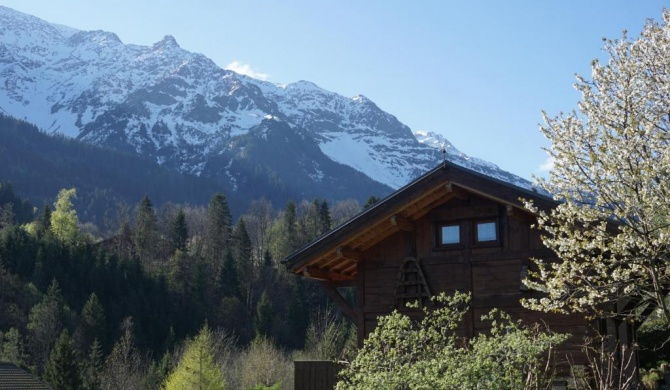 Chalet Indépendant " L'anfian-ne"