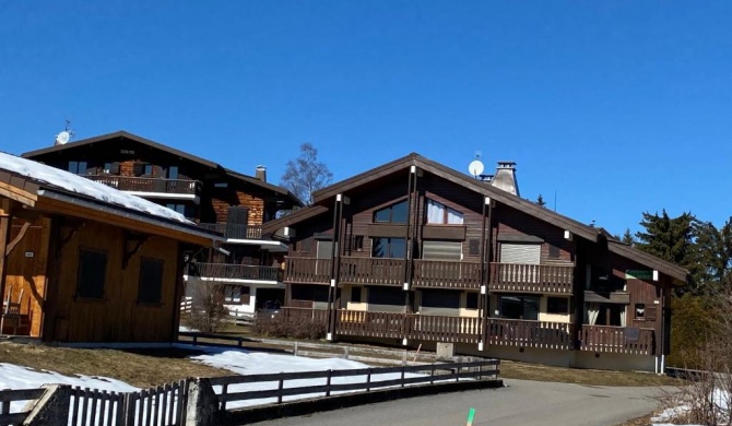 CHALET DES NEIGES