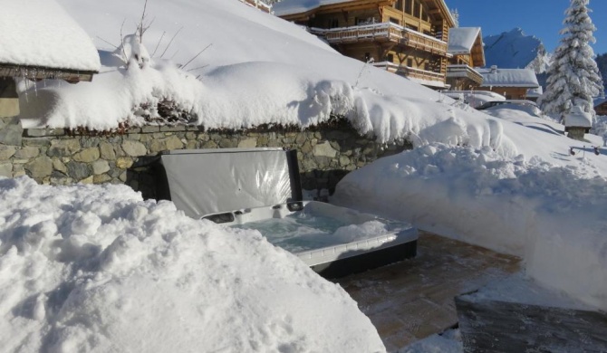 CHALET-SPA SUR LES PISTES 10 Personnes