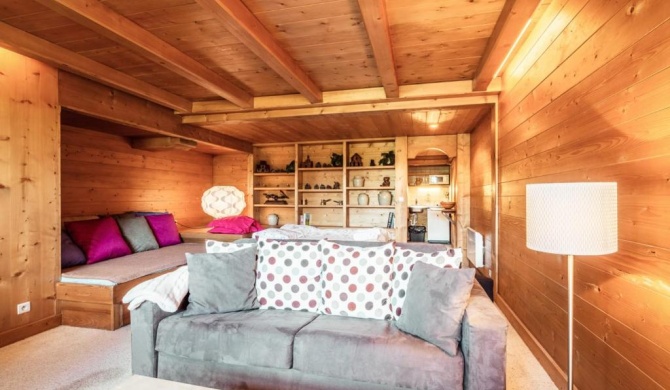 Cosy and comfortable studio ski-in and walking distance from the slopes