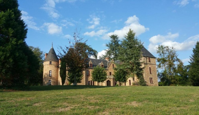 Château de Bussolles & 2 gîtes